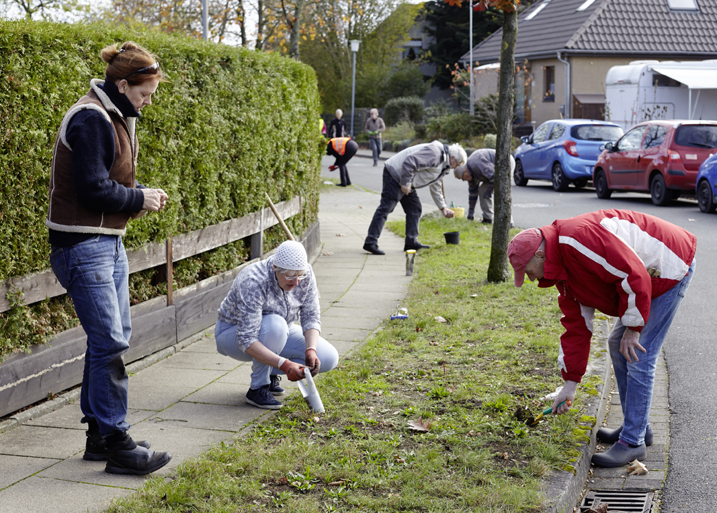 Mehr als 40 Tostedter Bürger*innen halfen beim Pflanzen der Frühblüher